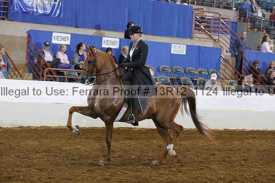 Proof 13r12_1124