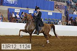 13r12_1124 proof