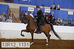 13r12_1131 proof