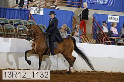 13r12_1132 proof