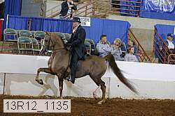 13r12_1135 proof