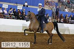 13r12_1155 proof