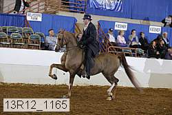 13r12_1165 proof