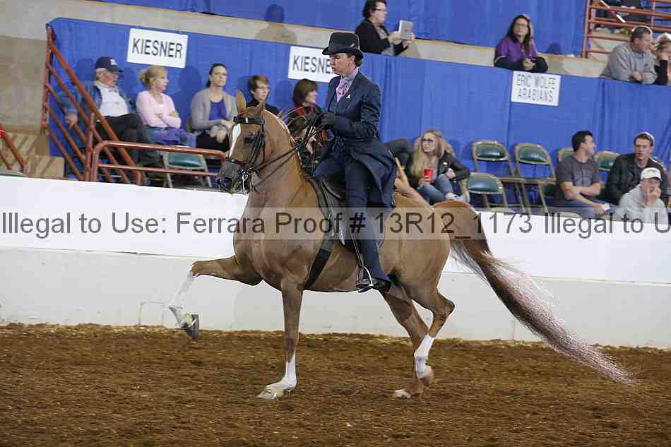 Proof 13r12_1173