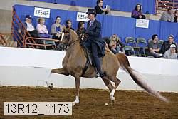 13r12_1173 proof