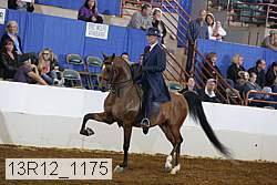 13r12_1175 proof