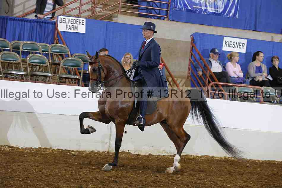 Proof 13r12_1176