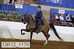 13r12_1176 proof