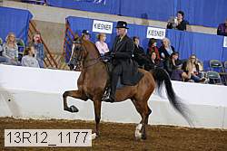 13r12_1177 proof
