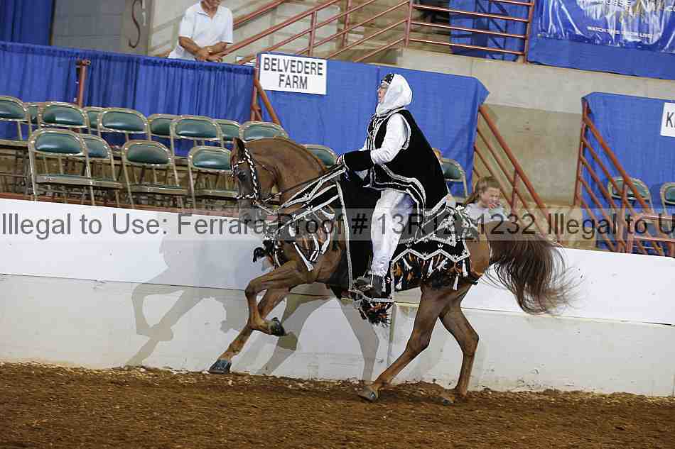 Proof 13r12_1232