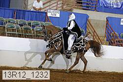 13r12_1232 proof