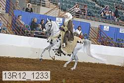 13r12_1233 proof