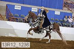 13r12_1236 proof