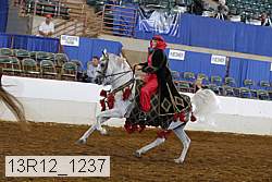 13r12_1237 proof