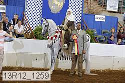 13r12_1259 proof