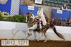 13r12_1271 proof