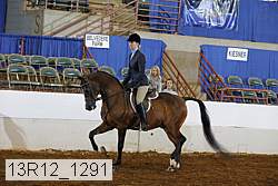 13r12_1291 proof