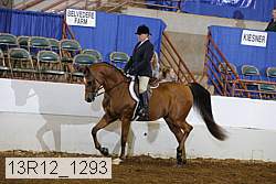 13r12_1293 proof