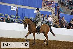 13r12_1303 proof