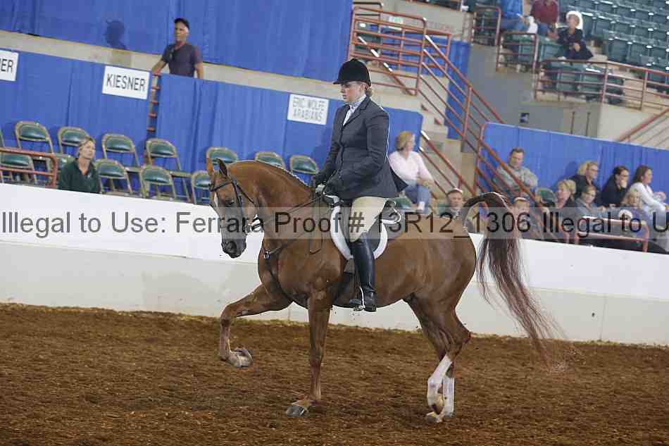 Proof 13r12_1306