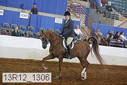 13r12_1306 proof