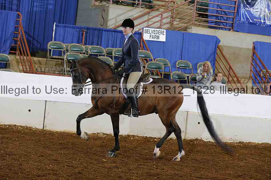 Proof 13r12_1328