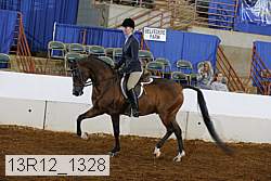 13r12_1328 proof