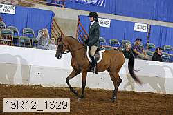 13r12_1329 proof