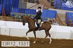 13r12_1331 proof