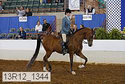 13r12_1344 proof
