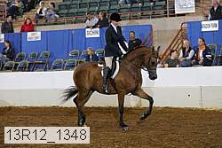 13r12_1348 proof