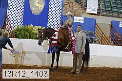13r12_1403 proof
