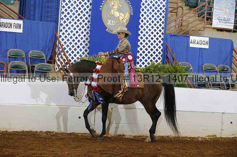 Proof 13r12_1407