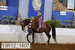 13r12_1407 proof