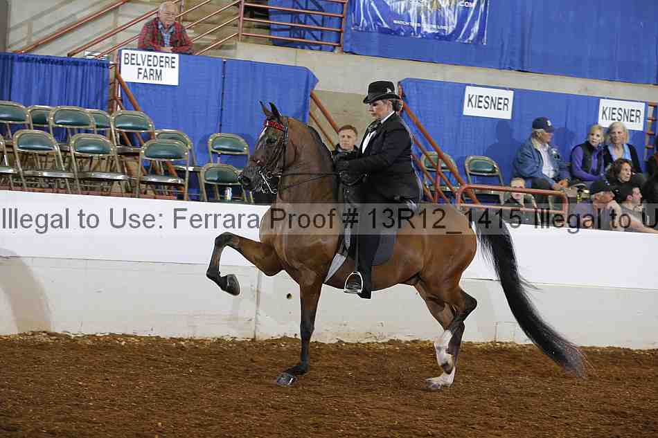 Proof 13r12_1415