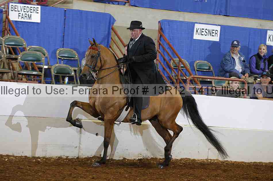 Proof 13r12_1419