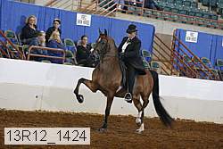 13r12_1424 proof
