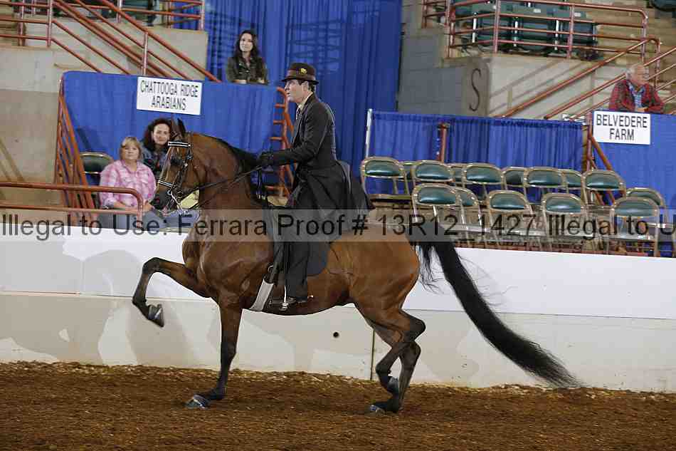 Proof 13r12_1427