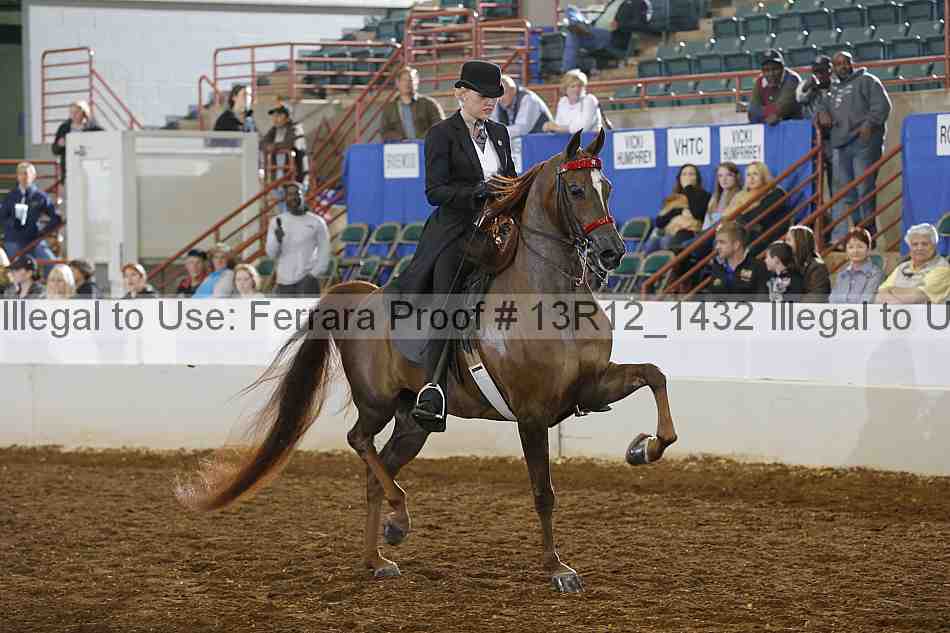 Proof 13r12_1432