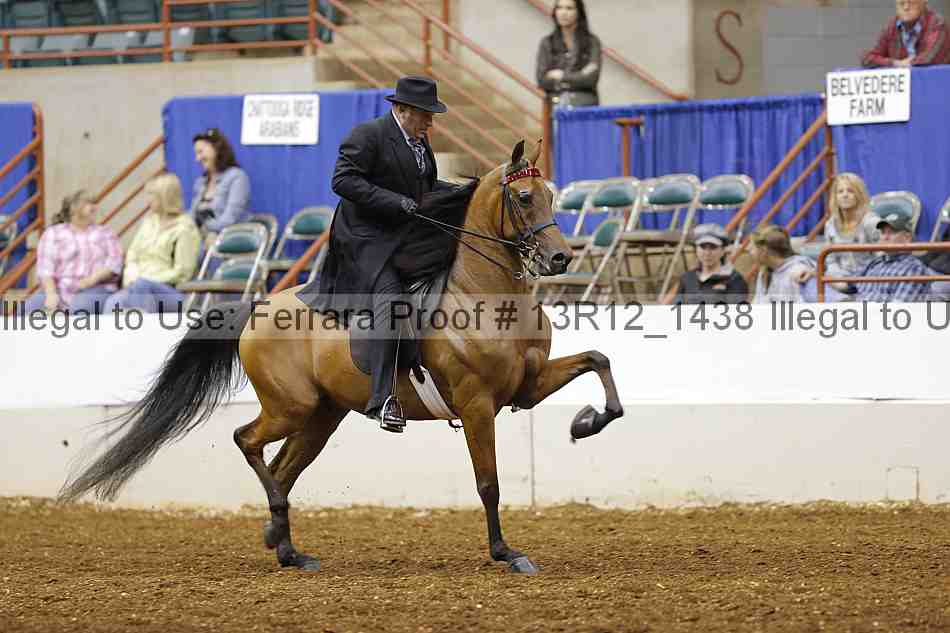Proof 13r12_1438
