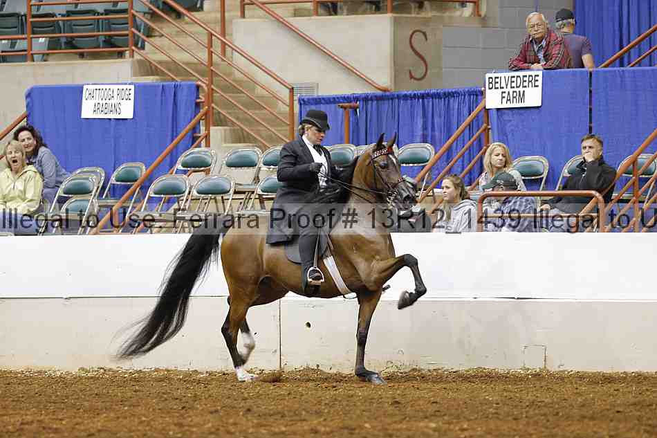 Proof 13r12_1439