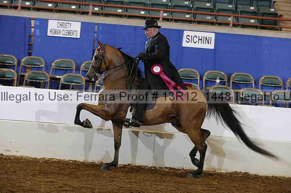 Proof 13r12_1448