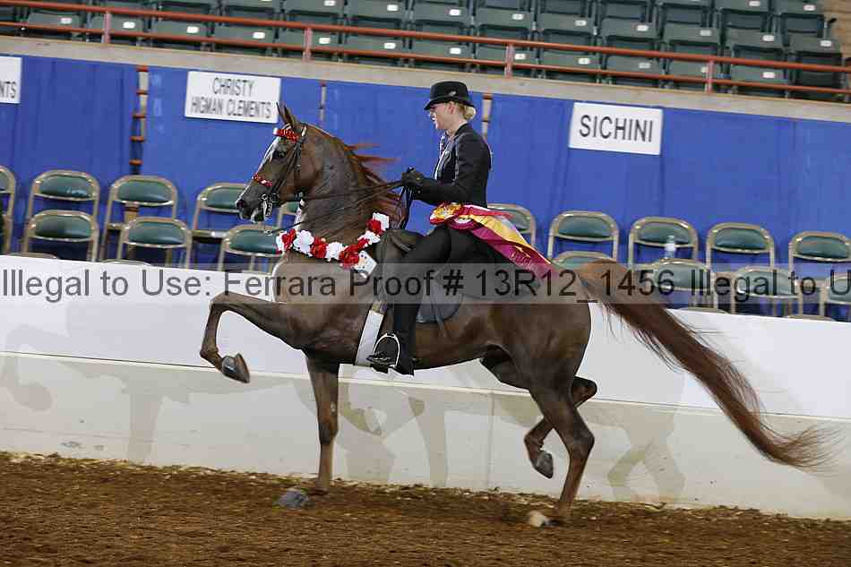 Proof 13r12_1456