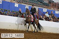 13r12_1460 proof