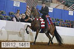 13r12_1461 proof