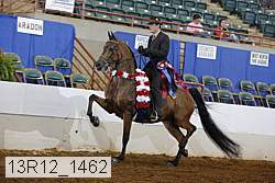 13r12_1462 proof