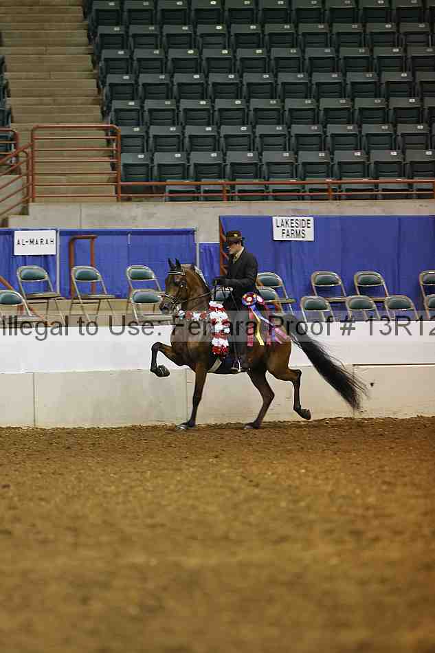 Proof 13r12_1463