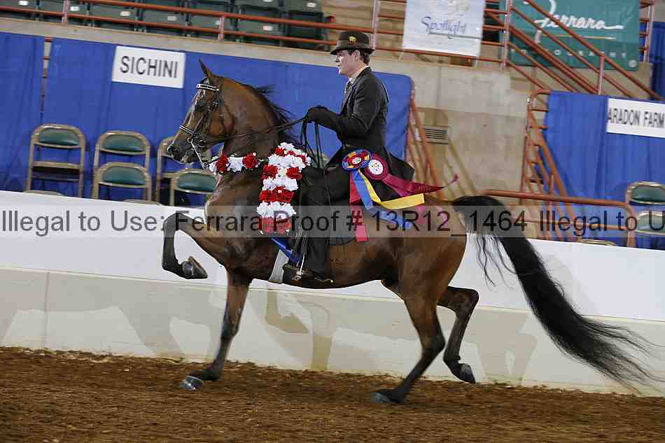 Proof 13r12_1464