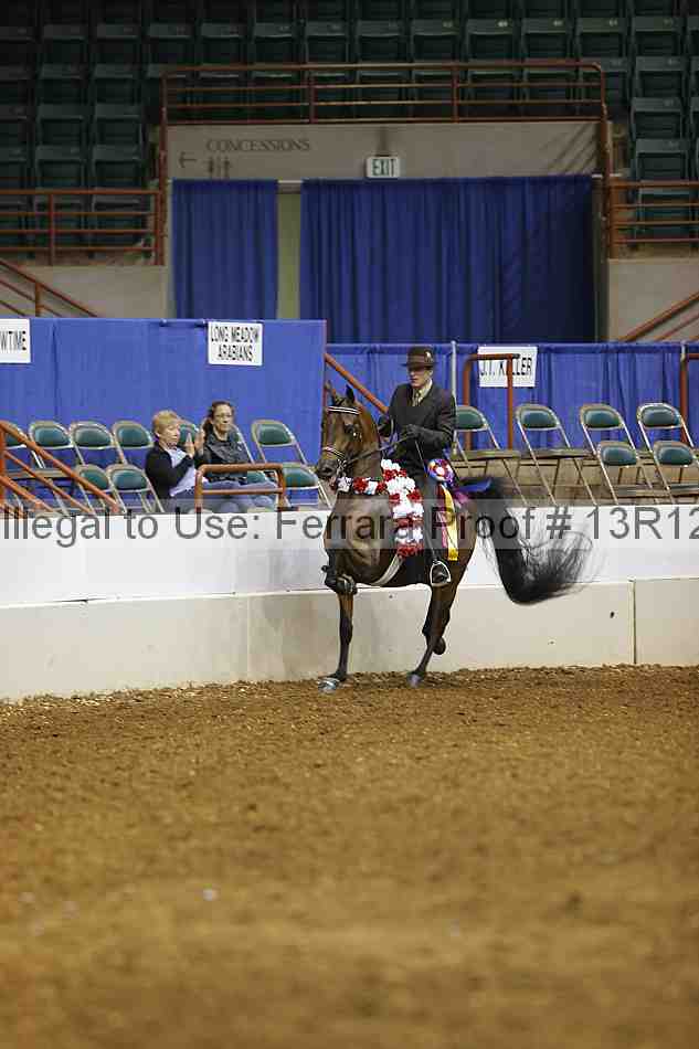 Proof 13r12_1465