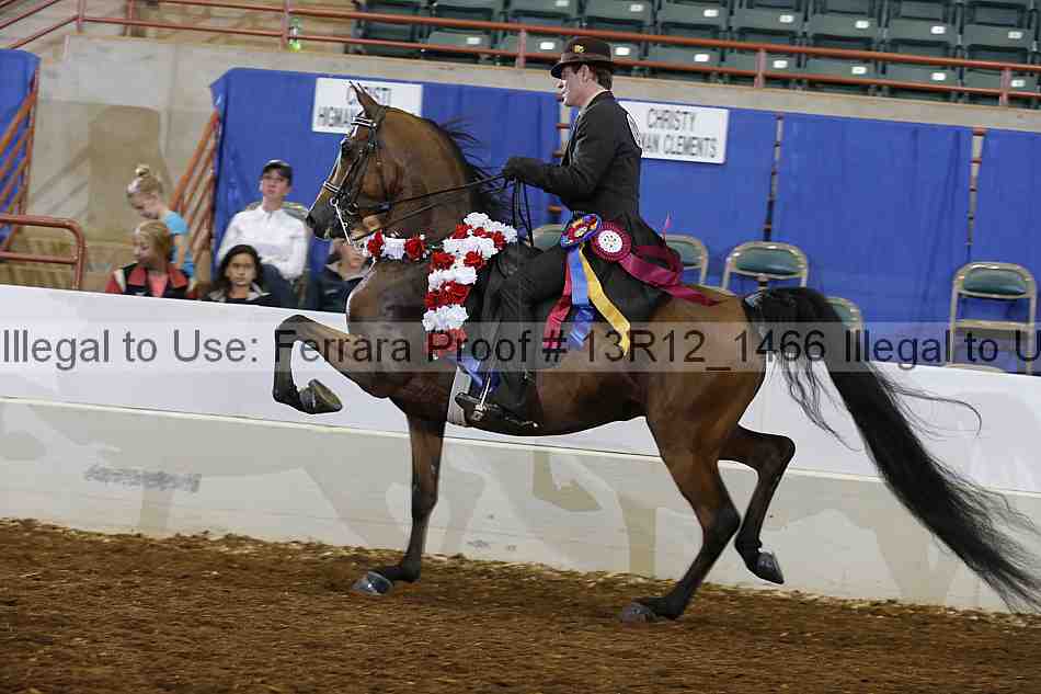Proof 13r12_1466